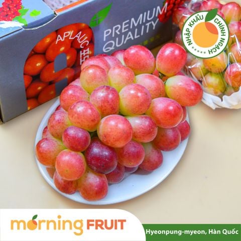  Nho mẫu đơn đỏ Sunny Dolce Hàn Quốc 