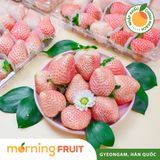  Dâu bạch tuyết Hàn Quốc (hộp 330GR) 