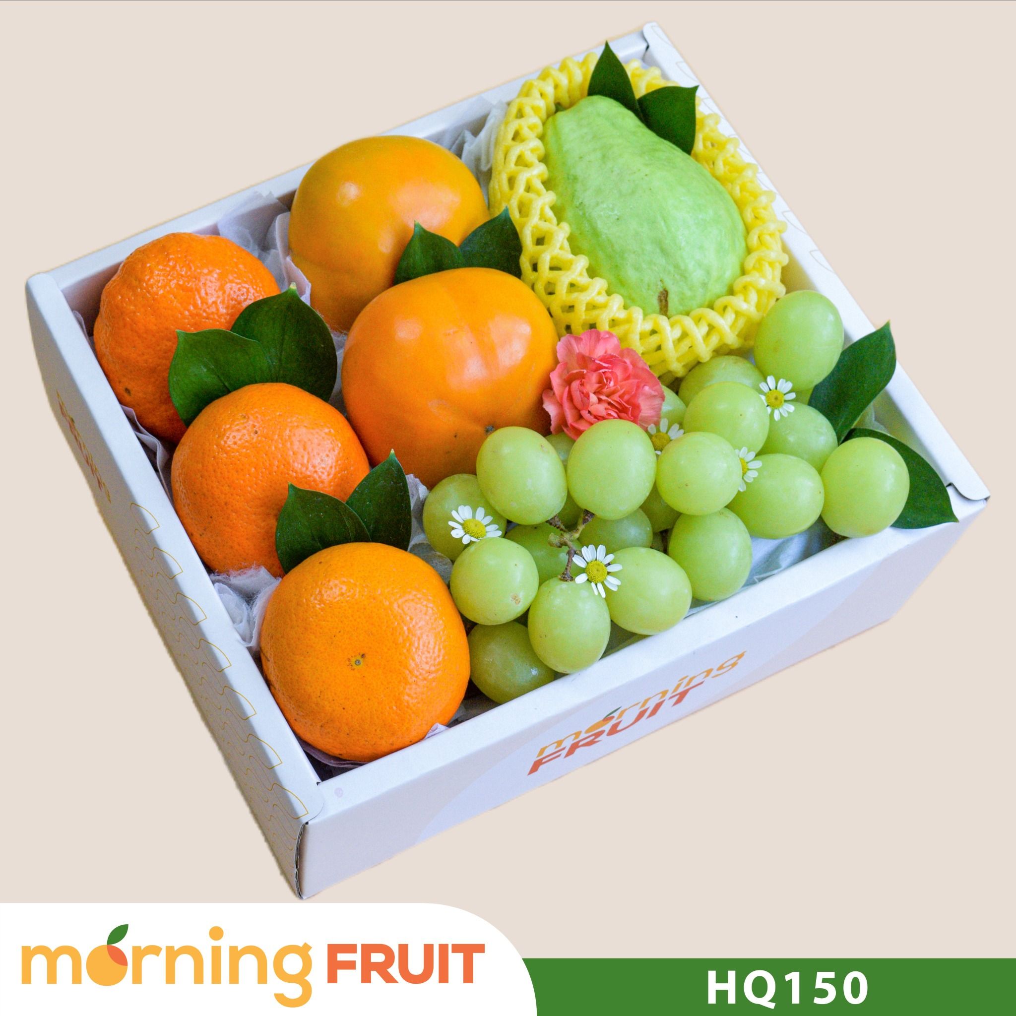  Hộp quà trái cây HQ150 