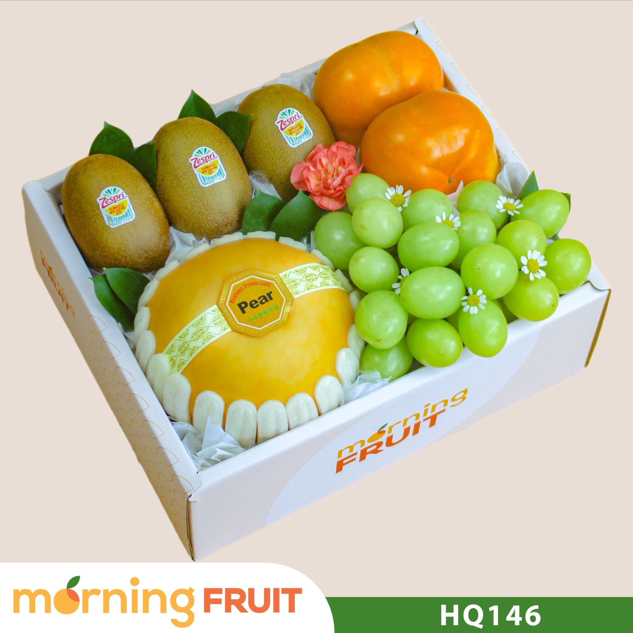  Hộp quà trái cây HQ146 