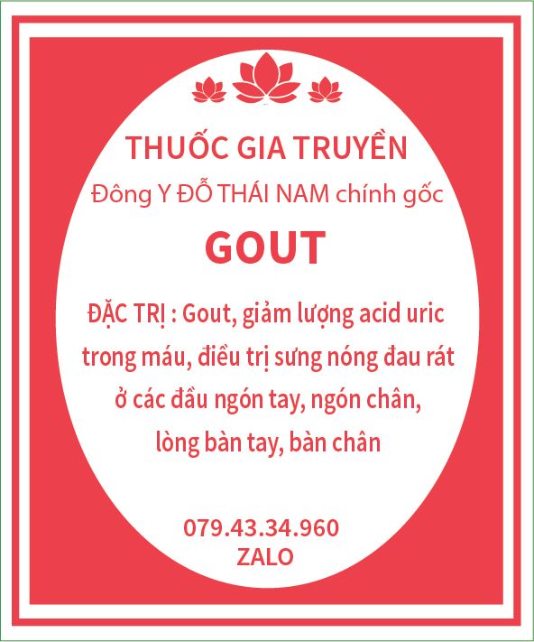  Thuốc đặc trị GOUT dạng viên hoàn - 60 gói - 1 hộp 