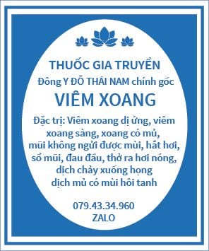  Thuốc trị Viêm xoang - 10 viên vàng - 60 gói - 1 hộp 