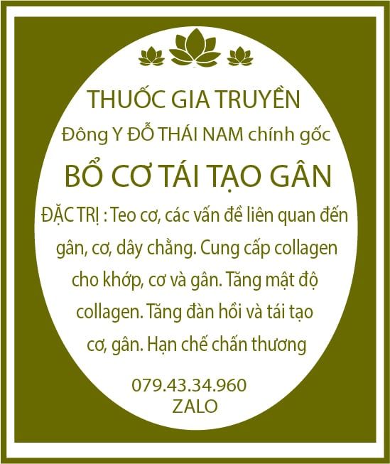  Thuốc Trị Teo Cơ - Giãn Dây Chằng - 60 viên - 1 chai 