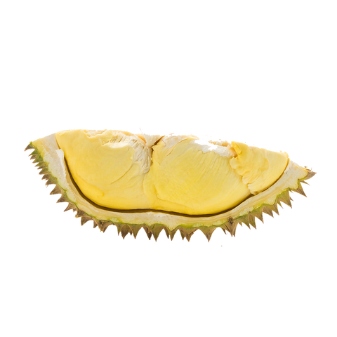 SẦU RIÊNG ĐÔNG LẠNH / MONTHONG DURIAN – asianoeki
