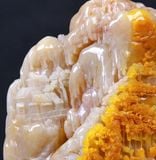 Tùng Hạ Nhã Tụ