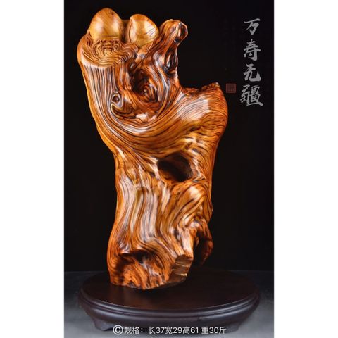 Tượng Cụ Thọ gỗ nhai bách