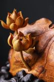 Quan Âm Tự Tại gỗ hoàng dương