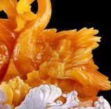 Thiên Nga Uyên Ương