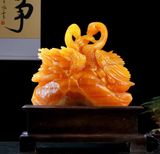 Thiên Nga Uyên Ương