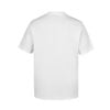Áo T-shirt 361º Nam  W552424023A-5C