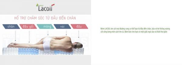  Nệm Lò Xo Túi Cao Su Vạn Thành Lacoil 