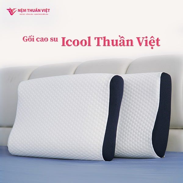  Gối nằm Cao Su Icool Thuần Việt 