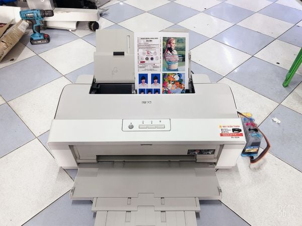 px1004_dye_tem_c2c120062e4b40c px1004_dye_tem_c2c120062e4b40c
