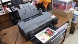 Máy In Phun Epson L1300 - Đã Qua Sử Dụng (Hàng tuyển chọn 95%)