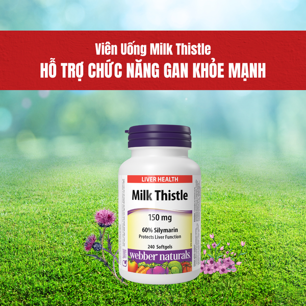 Viên uống bổ gan Milk Thistle 150mg WEBBER NATURALS Hộp 240 viên