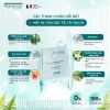 Mặt Nạ Thải Độc Tố, Tái Tạo Da Vegetal Purifying Mask