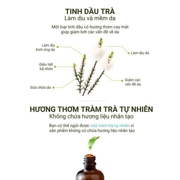  Combo 2 bước giảm mụn The Plant Base 