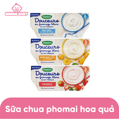Sữa chua hoa quả phô mai Bledina