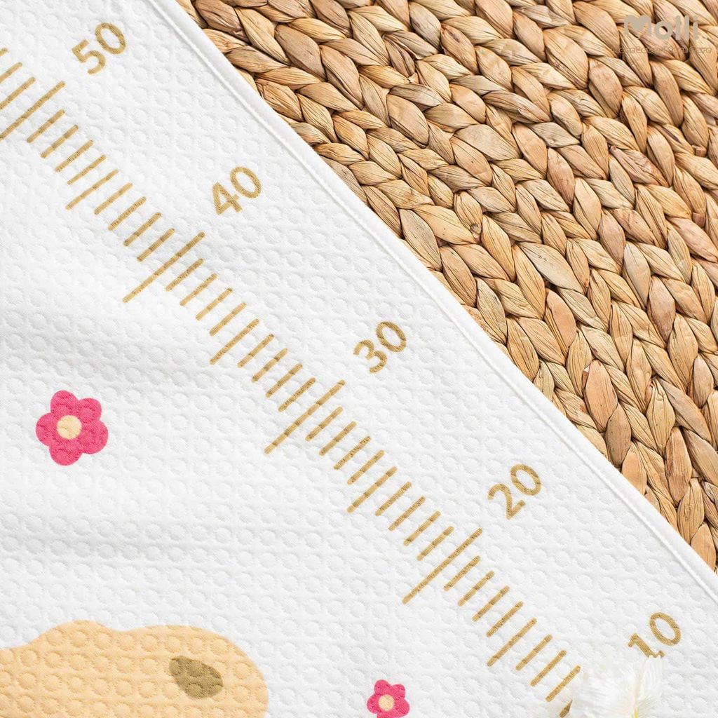 Tấm lót chống thấm 4 lớp Molli 0136