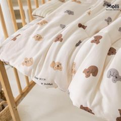Chăn bông 2 lớp hạt đậu Molli