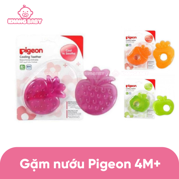 Gặm nướu Pigeon