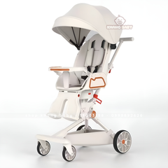 Xe đẩy V.9 cao cấp