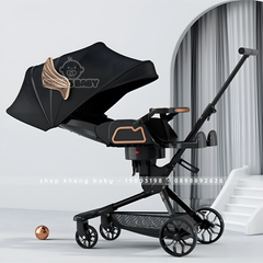 Xe đẩy V.9 cao cấp