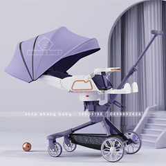 Xe đẩy V.9 cao cấp