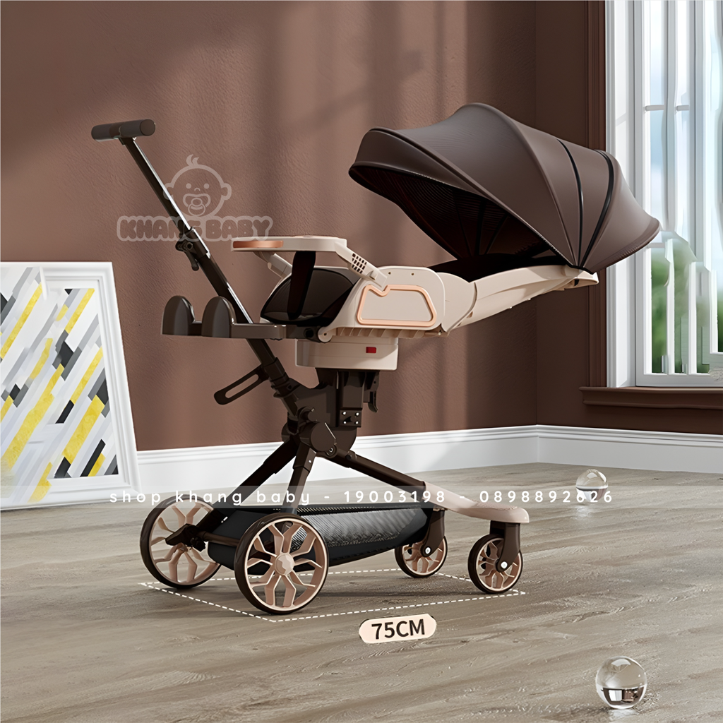 Xe đẩy V.9 cao cấp