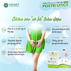 Khăn vệ sinh phụ nữ DR WET