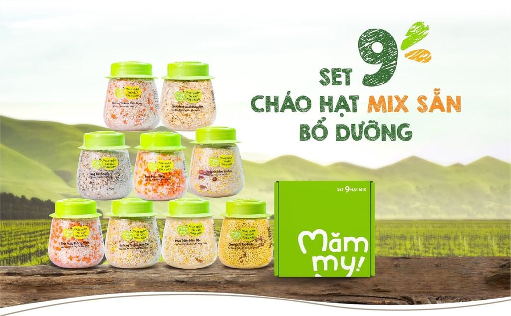 Set 9 cháo hạt mix Măm My