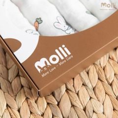 Hộp 6 khăn sữa Premium Bamboo Molli
