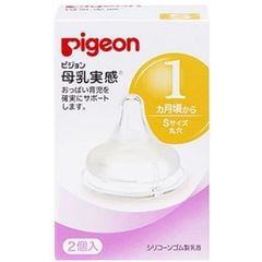 Núm ty Pigeon nội địa