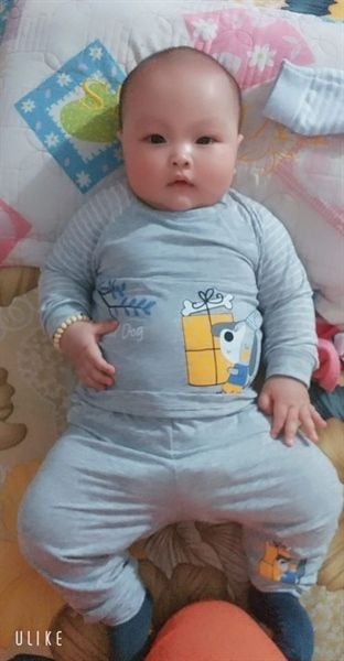 Bộ cài vai dài tay Judoby (JB420) Dokma (6-9M) CLO