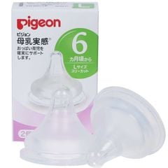 Núm ty Pigeon nội địa