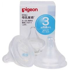 Núm ty Pigeon nội địa