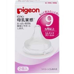 Núm ty Pigeon nội địa