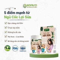 Ngũ cốc Lợi sữa cho mẹ Anpaso