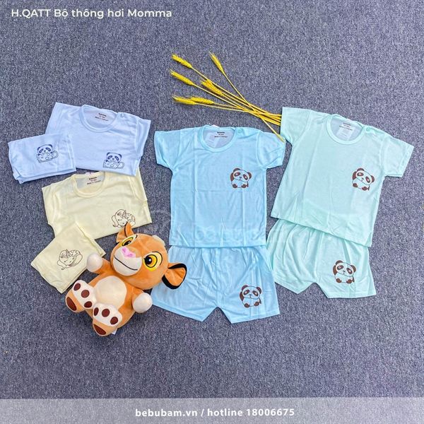 Bộ thông hơi Momma