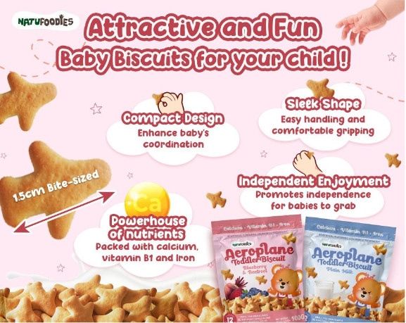 Bánh quy Natufoodies hình máy bay - Vị chuối, bí đỏ 100g 12M+