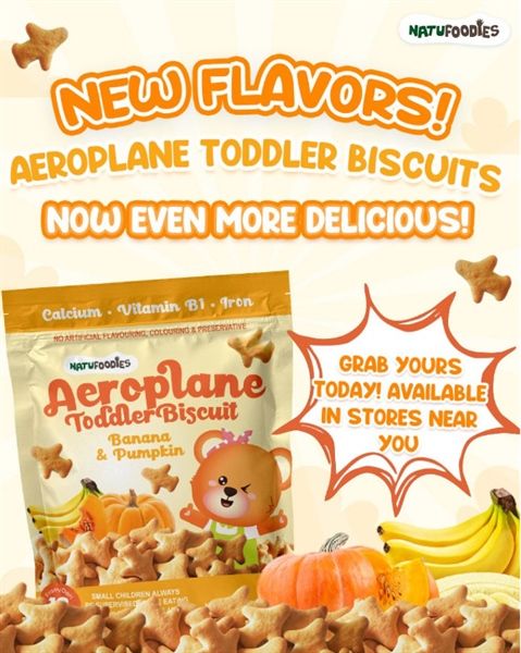 Bánh quy Natufoodies hình máy bay - Vị chuối, bí đỏ 100g 12M+