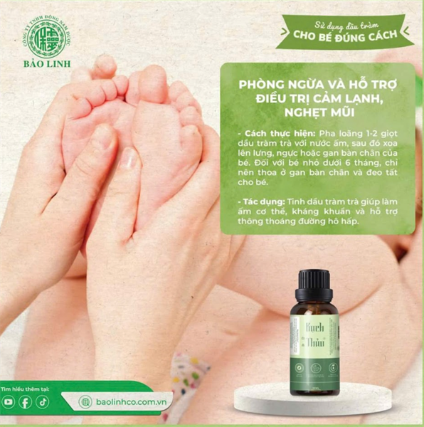 Dầu tràm Bạch Thảo 10ml