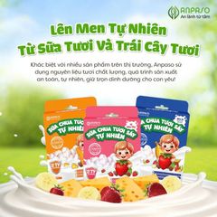 Sữa chua tươi sấy tự nhiên cho bé Anpaso