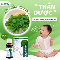 Tinh dầu húng chanh cho bé Dr.Baby 30ml