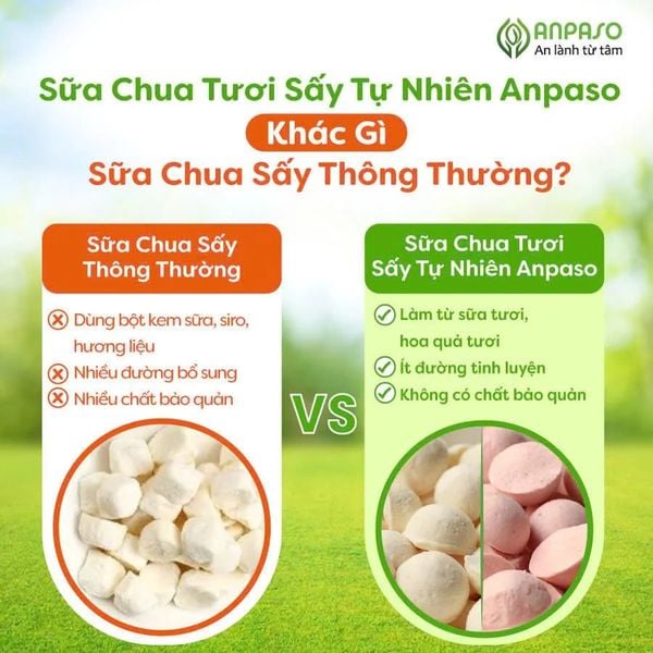 Sữa chua tươi sấy tự nhiên cho bé Anpaso