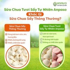 Sữa chua tươi sấy tự nhiên cho bé Anpaso