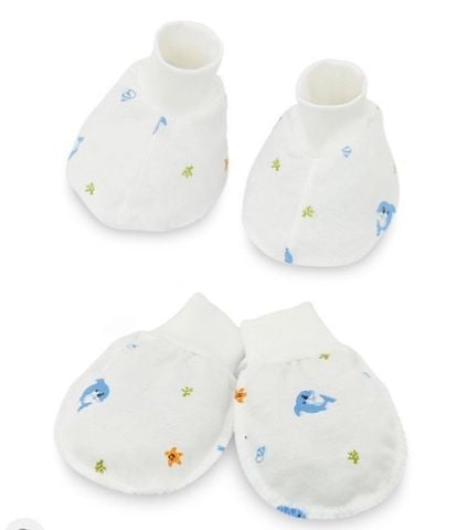 Set bao tay chân IQ BABY Cá heo xanh