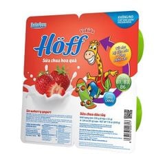 Sữa chua Hoff cho bé (Nhiều vị)