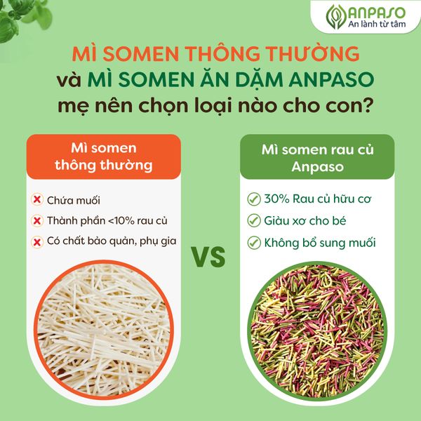 Mì Somen Ăn Dặm Anpaso