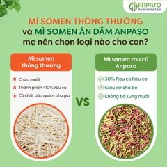 Mì Somen Ăn Dặm Anpaso